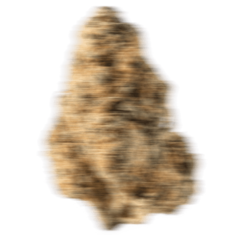 ZOIKS Cannabis Blüte verschwommen.