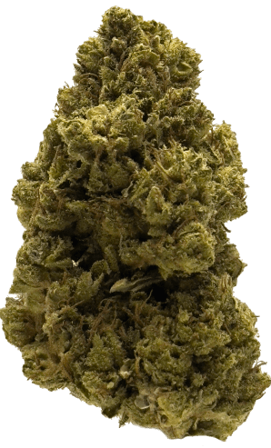 ZOIKS Cannabis Blüte Colombian Haze.