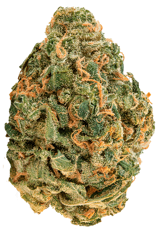 ZOIKS Cannabis Blüte OG Lime Kush.